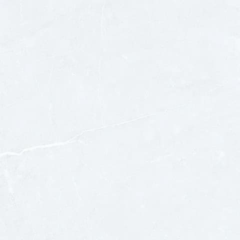 SP_101 DK thumbnail 2