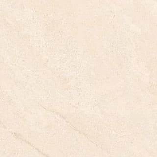 SP_11 LT thumbnail 4