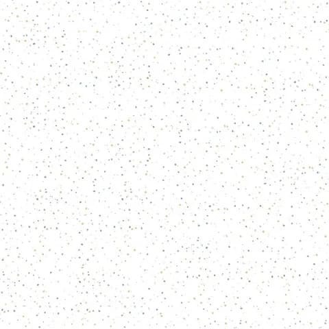 SP_114 DK thumbnail 3