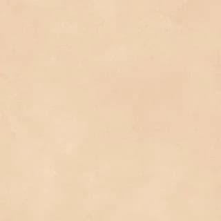SP_116 thumbnail 2