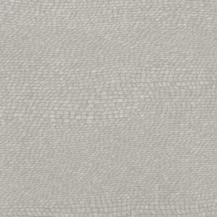 SP_132 DK thumbnail 2