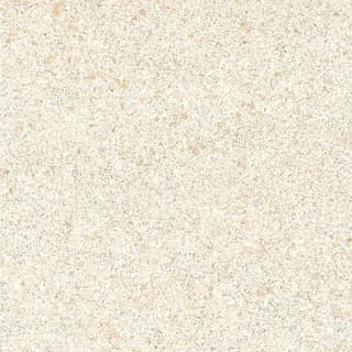 SP_14 LT thumbnail 4