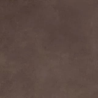 SP_31 DK thumbnail 4