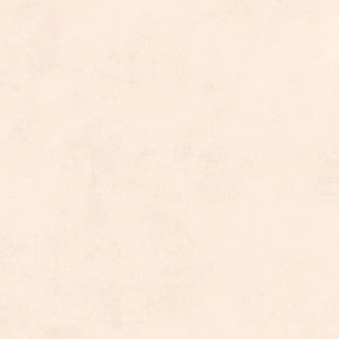 SP_34 DK thumbnail 2