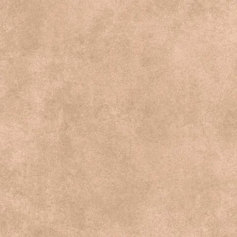 SP_34 LT thumbnail 2