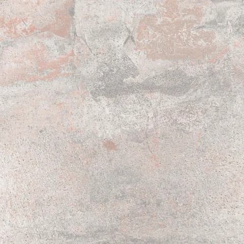 SP_41 LT thumbnail 2