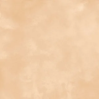 SP_63 LT thumbnail 4