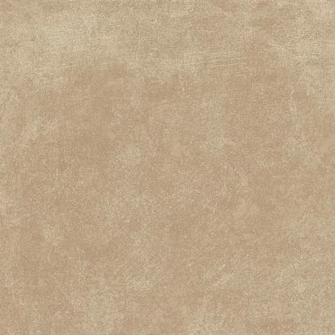 SP_66 LT thumbnail 2