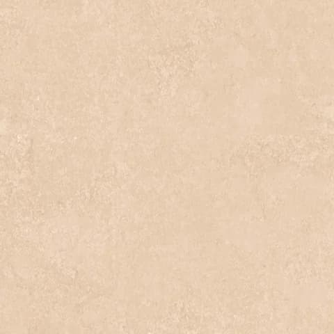 SP_06 LT