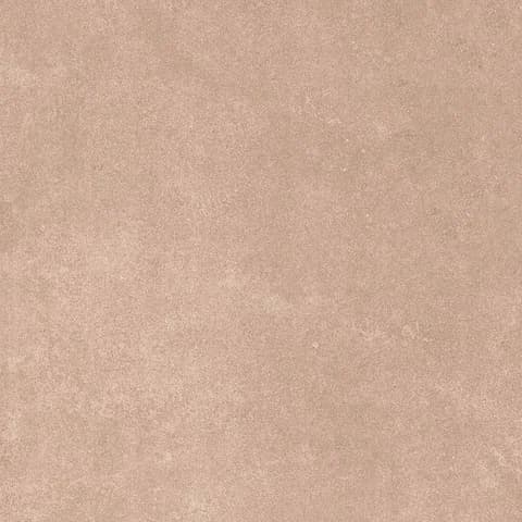 SP_07 LT